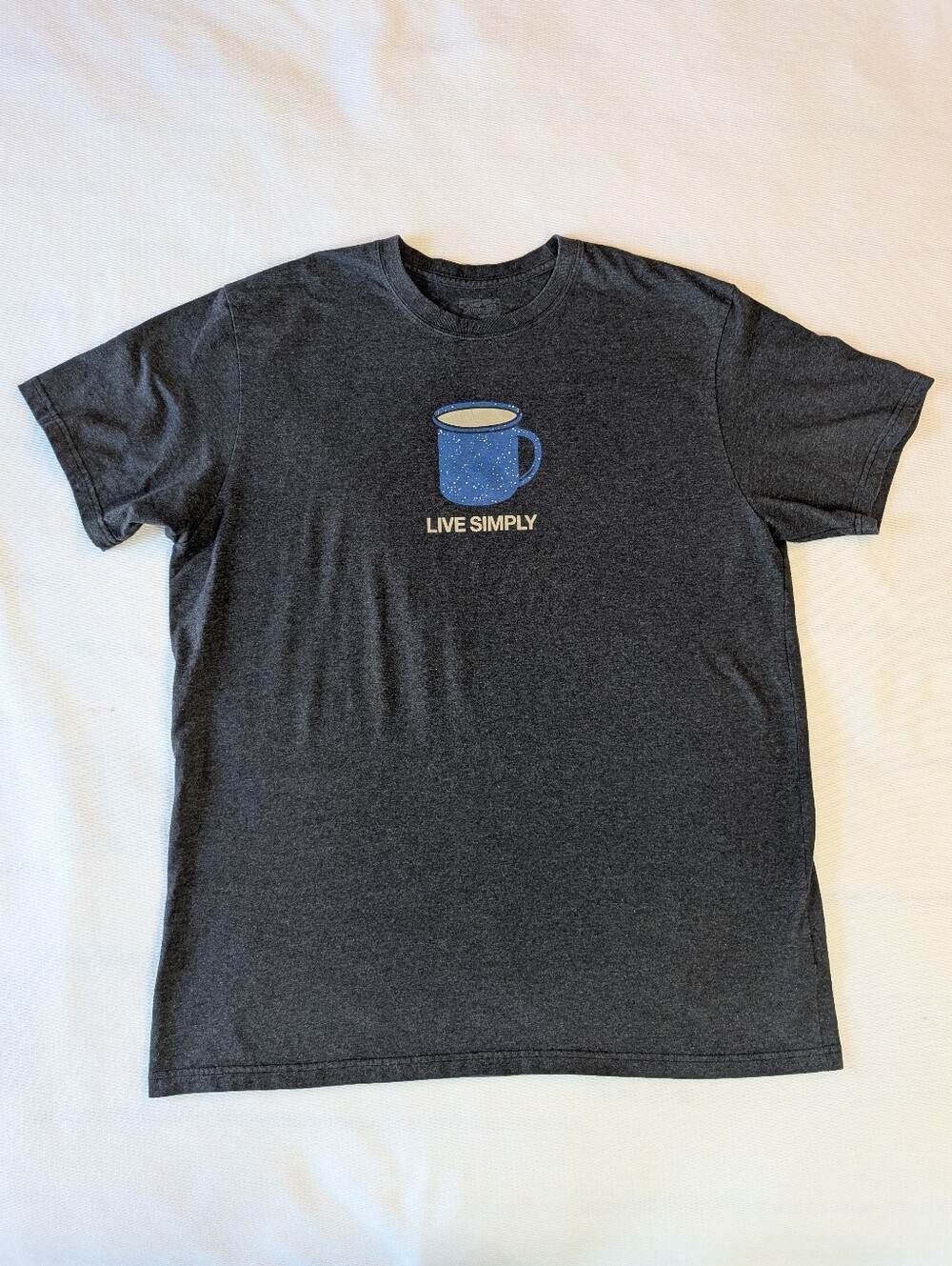 Patagonia Live Simply Mornings Graphic Tee - Gray XXL